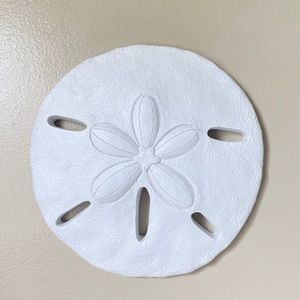 Sand Dollar Wall Decor